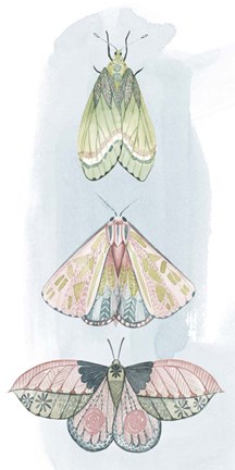 Framed Jeweled Fairies II Print