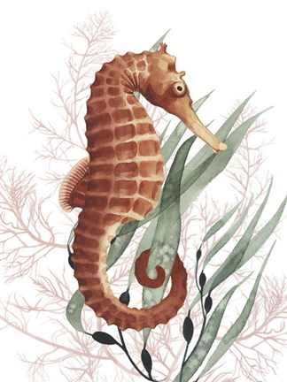 Framed Seahorse Treasures I Print