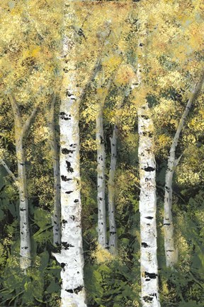 Framed Birch Treeline II Print