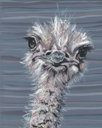 Framed Animal Patterns V Print