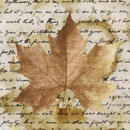 Framed Earth Leaf I Print