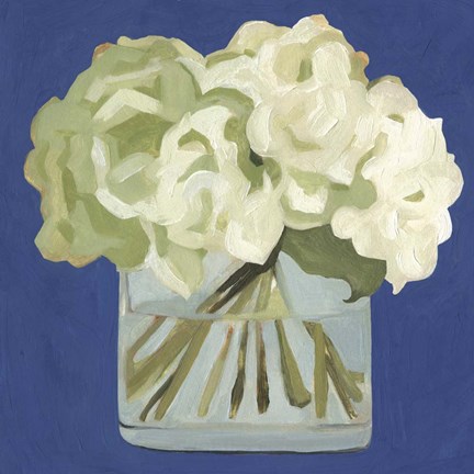Framed White Hydrangeas II Print