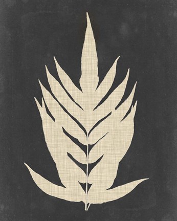 Framed Linen Fern II Print