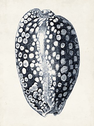 Framed Coastal Collection in Indigo III Print