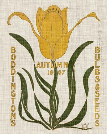 Framed Flower Seed Packs I Print