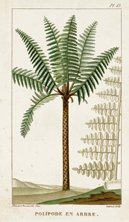 Framed Exotic Palms III Print