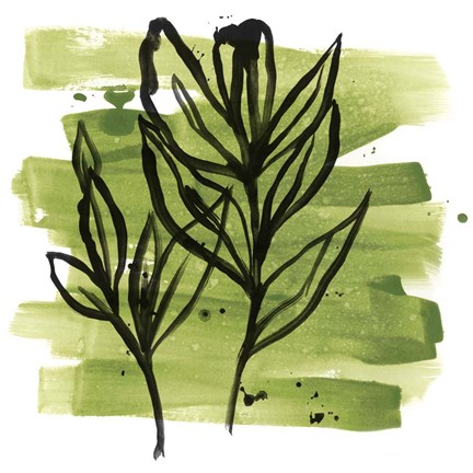 Framed Tropical Sumi-e VI Print