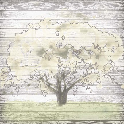 Framed Barn Tree I Print