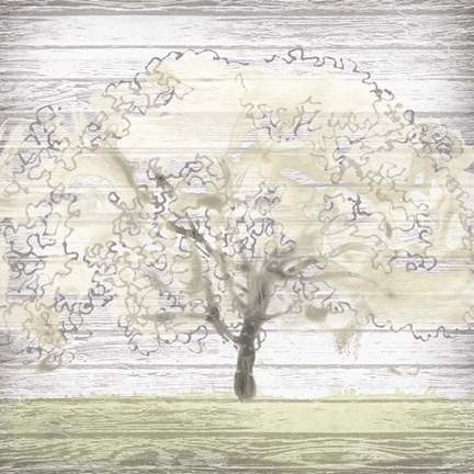 Framed Barn Tree II Print
