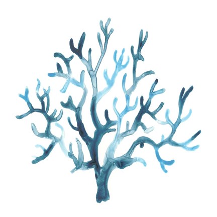 Framed Azure Seafan I Print