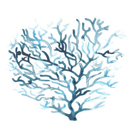 Framed Azure Seafan II Print