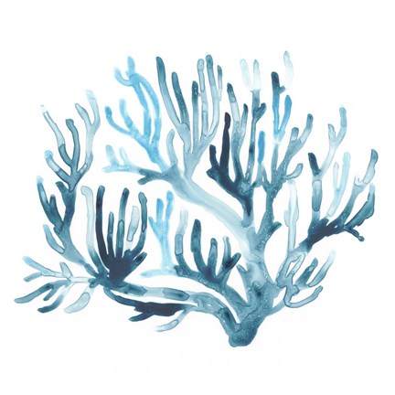 Framed Azure Seafan III Print