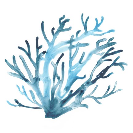 Framed Azure Seafan IV Print