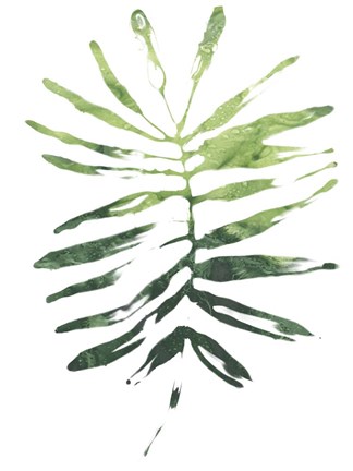 Framed Emerald Tropics I Print