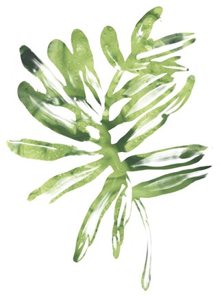 Framed Emerald Tropics III Print