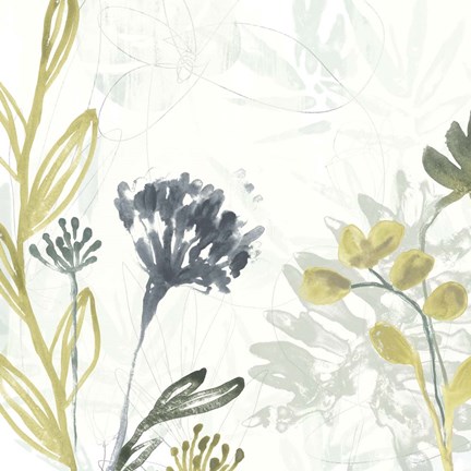 Framed Tropical Stems II Print