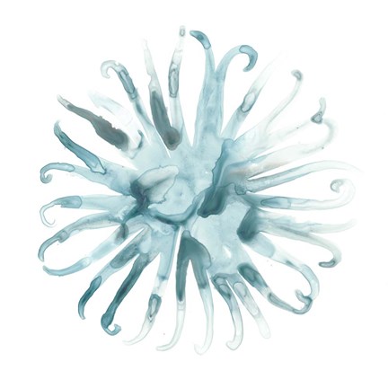 Framed Ocean Cameo II Print