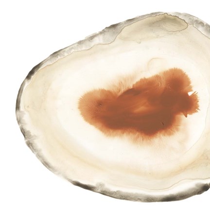 Framed Cropped Geodes I Print