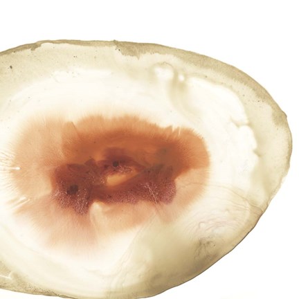 Framed Cropped Geodes IV Print