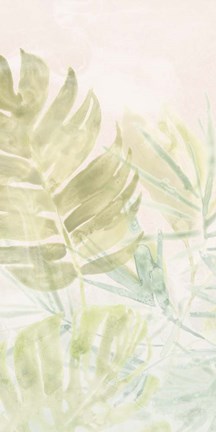 Framed Tropical Sorbet II Print