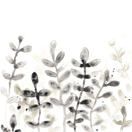 Framed Liquid Stems I Print