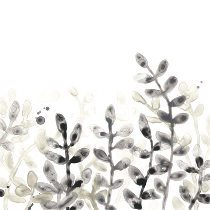 Framed Liquid Stems III Print