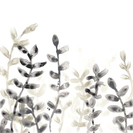 Framed Liquid Stems IV Print