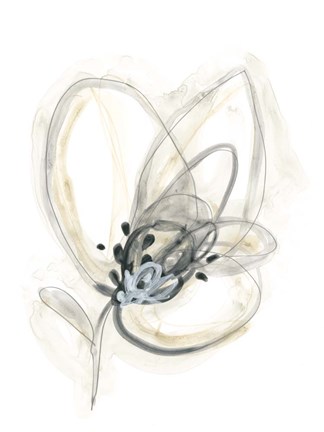 Framed Monochrome Floral Study V Print