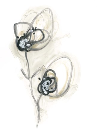 Framed Monochrome Floral Study IX Print