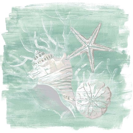 Framed Weathered Shell Assortment I Print