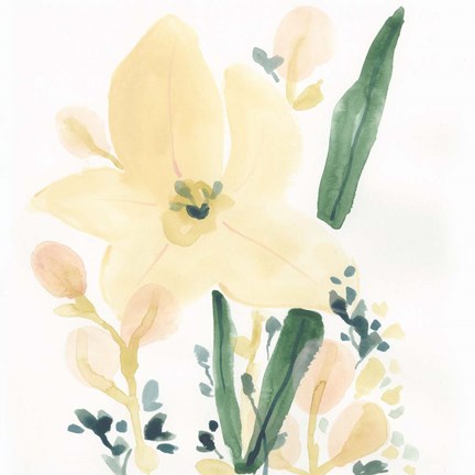 Framed Garden Essence II Print