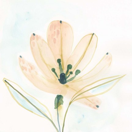 Framed Garden Essence VI Print