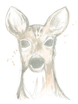 Framed Deer Cameo II Print
