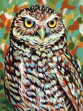 Framed Fury Feather Friends II Print