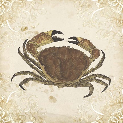 Framed La Mer Shellfish II Print