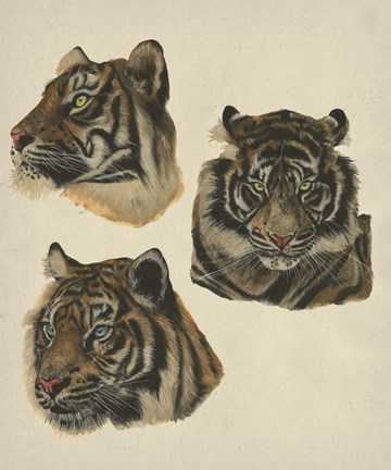 Framed Wild World II Print