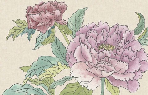 Framed Peony Blooms I Print