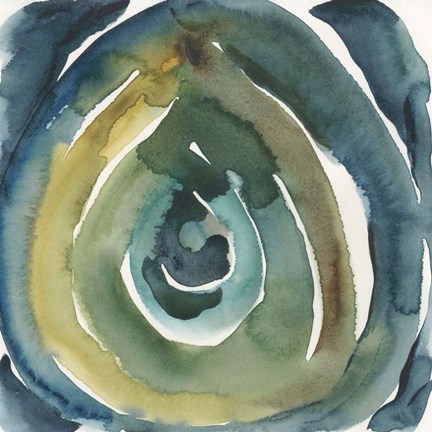 Framed Peacock Reflection II Print