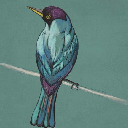 Framed Winged Sketch I on Teal Print