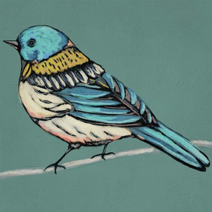 Framed Winged Sketch III on Teal Print