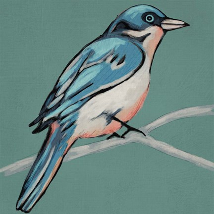 Framed Winged Sketch IV on Teal Print