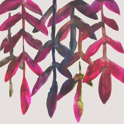 Framed Fuchsia Vine I Print