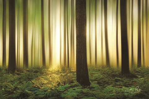 Framed Forest in Motion Print