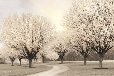 Framed In Full Bloom Print