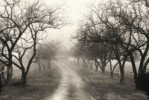 Framed Foggy Lane Print