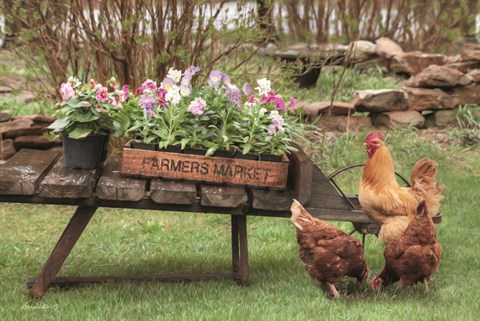 Framed Farmer&#39;s Flower Cart Print