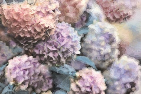 Framed Hydrangeas Abstract Print