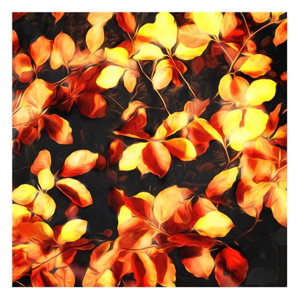 Framed Bunch Of Leaves Print