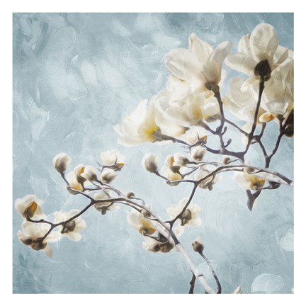 Framed Tree Of White Flowers Print