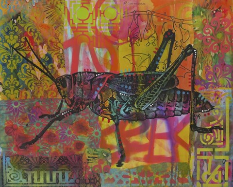 Framed Grasshopper Print